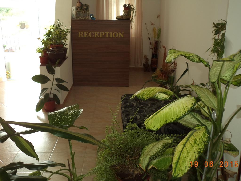 Sveti Georgi Guest House Süzebolu Dış mekan fotoğraf